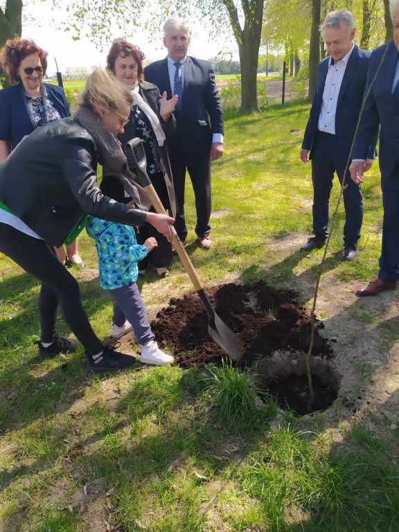 Posadzenie Dębu Władysława Górskiego w Sętkach