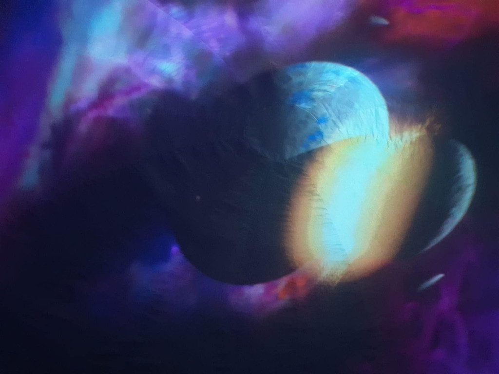 Planetarium w przedszkolu 