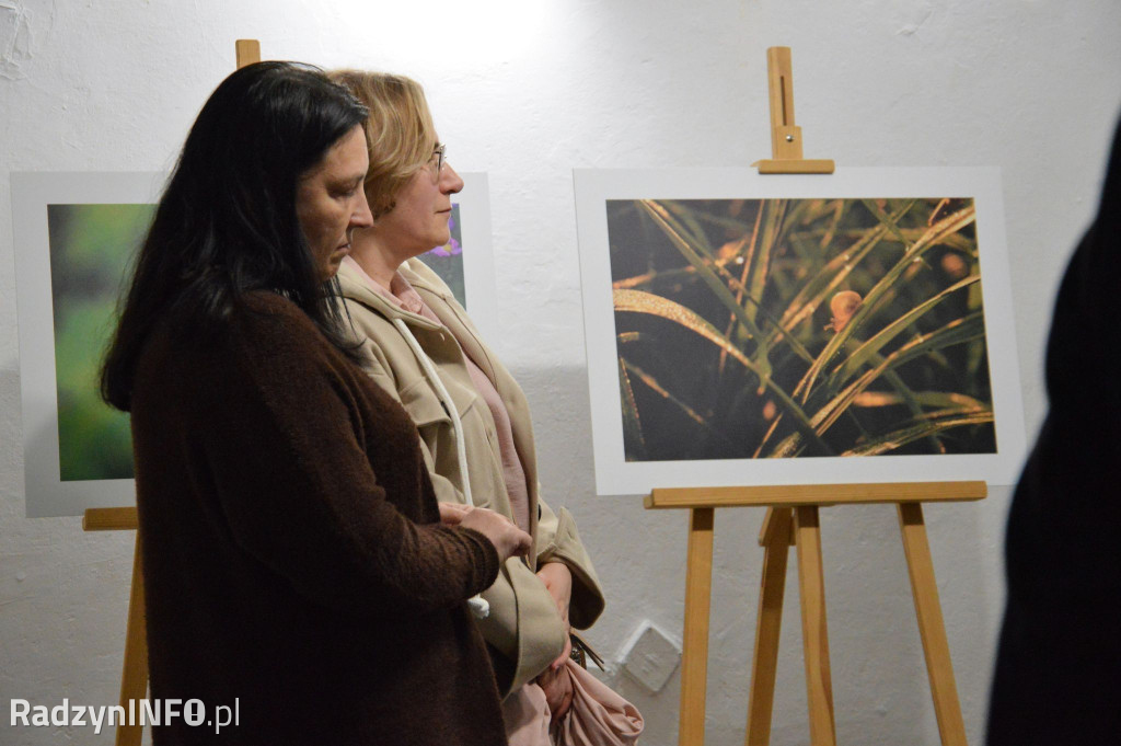 VIII Radzyńskie Dni Fotografii