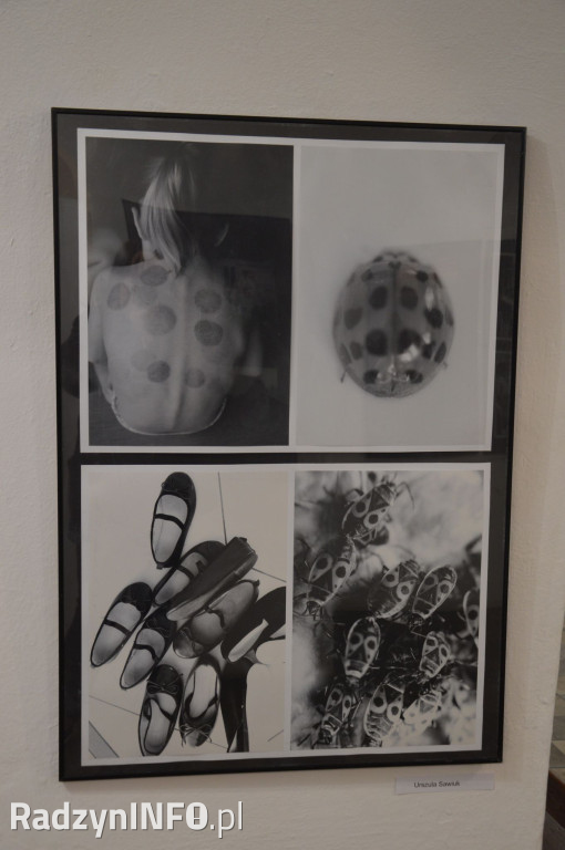 VIII Radzyńskie Dni Fotografii
