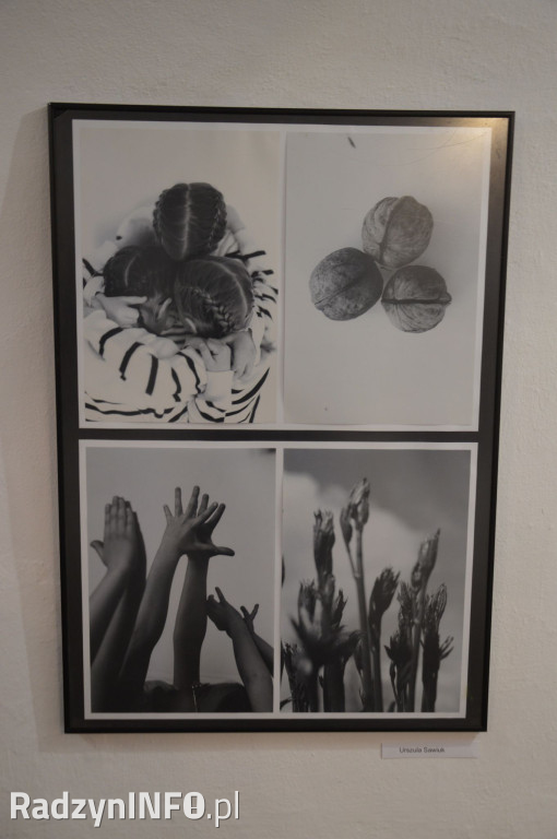 VIII Radzyńskie Dni Fotografii