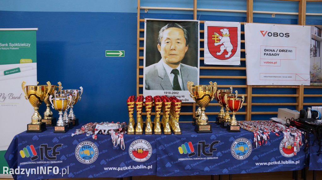 Mistrzostwa juniorów w taekwon-do w Radzyniu