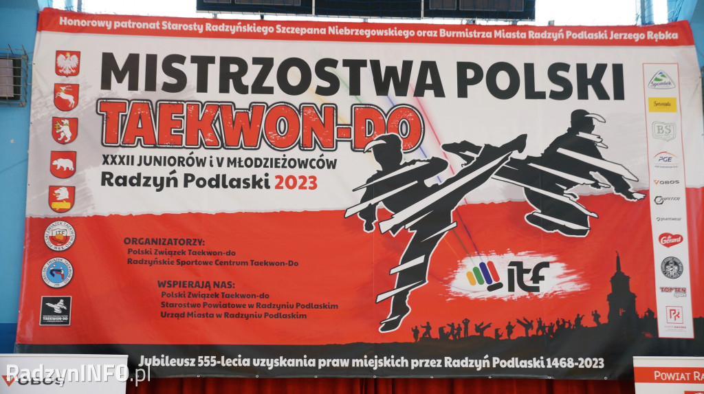 Mistrzostwa juniorów w taekwon-do w Radzyniu