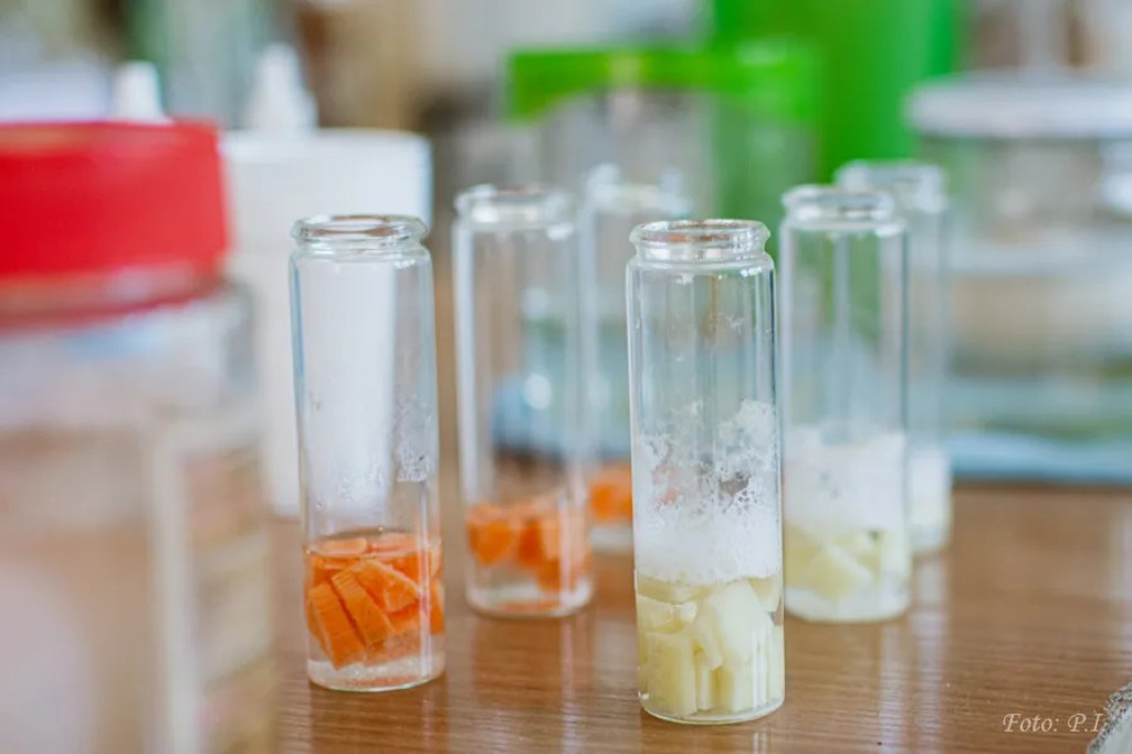 Dzień otwarty w I LO w Radzyniu