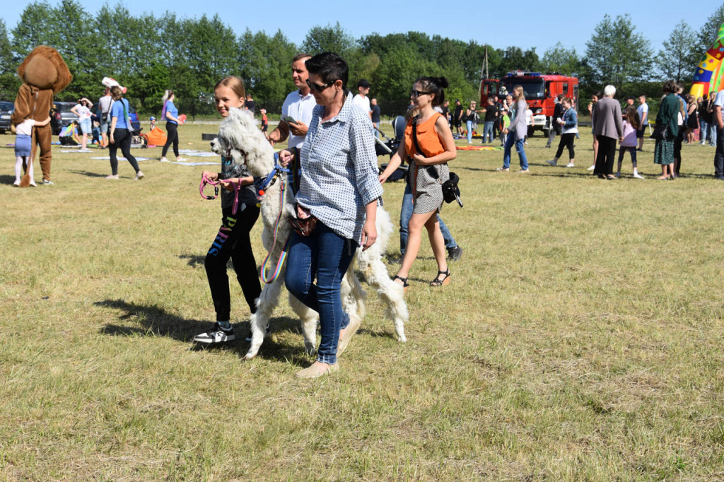 Gminny Dzień Dziecka w Ustrzeszy