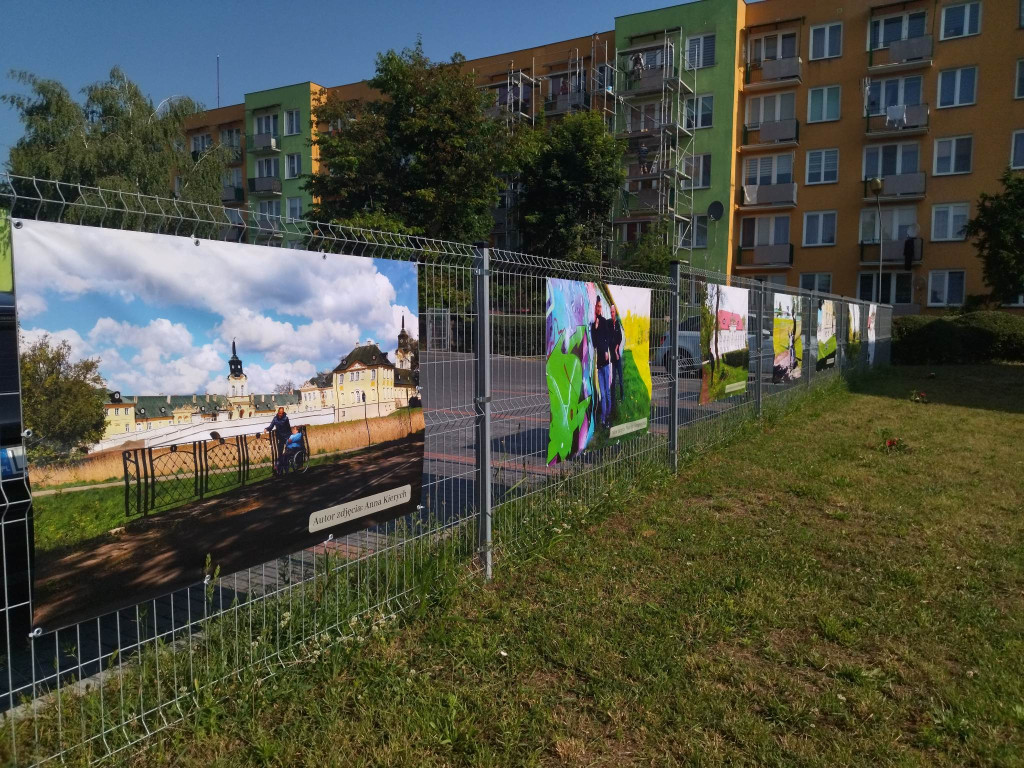 Dzień Rodziny i wystawa w DŚDS w Radzyniu