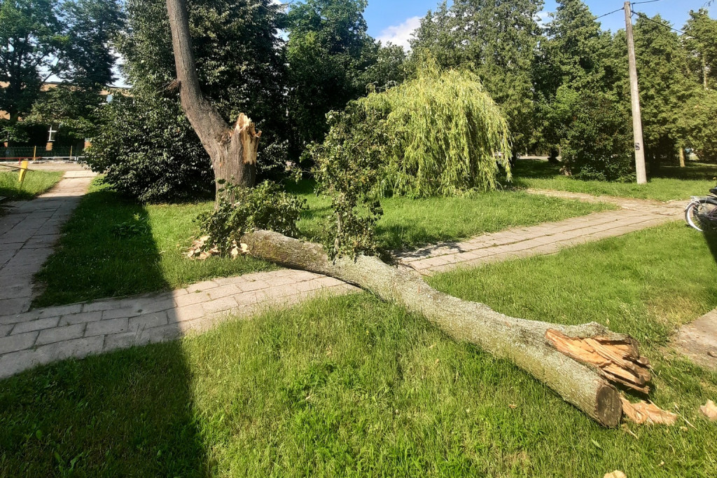 Interwencje strażaków w drugiej połowie czerwca