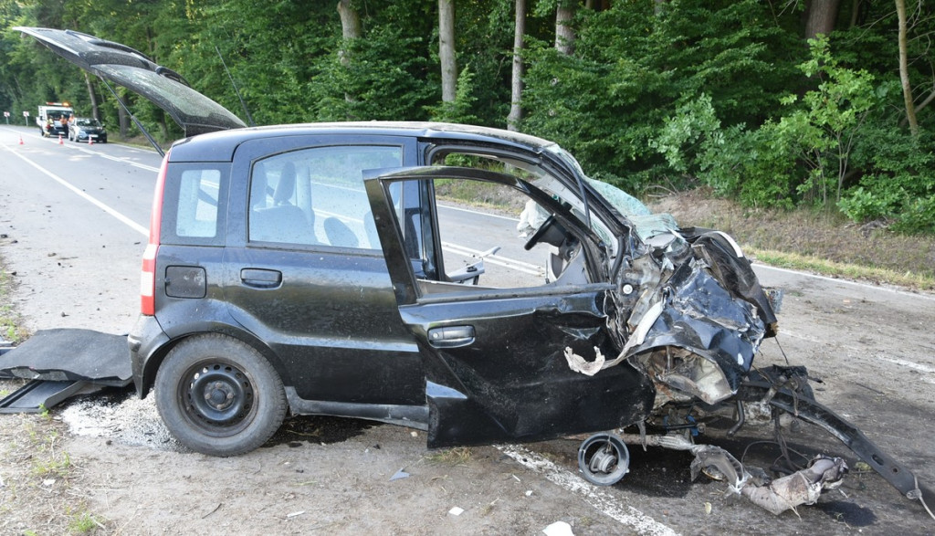 Interwencje strażaków w drugiej połowie czerwca