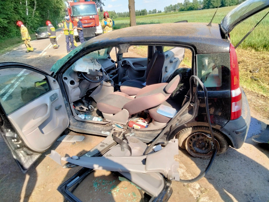 Interwencje strażaków w drugiej połowie czerwca
