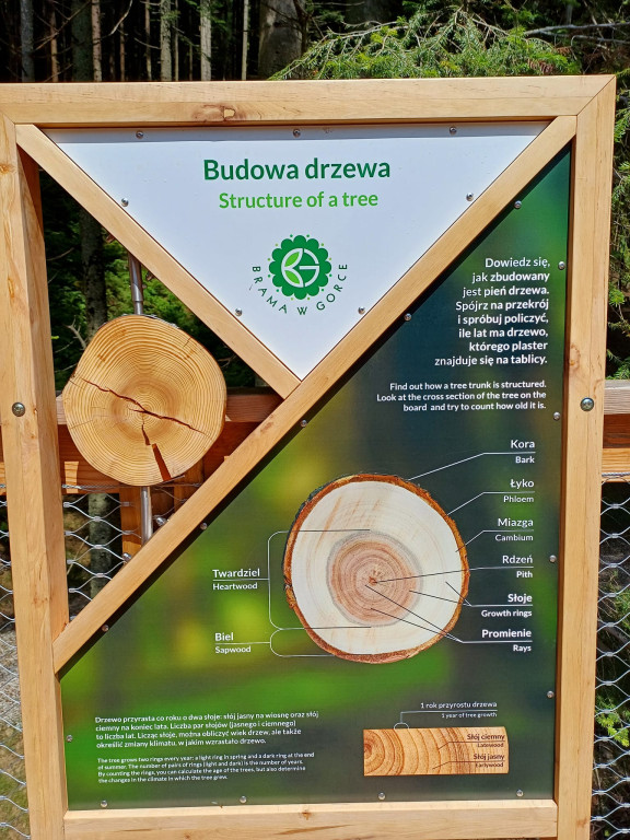 Kolonie dla dzieci z gminy Ulan-Majorat