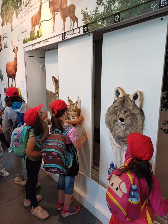 Kolonie dla dzieci z gminy Ulan-Majorat