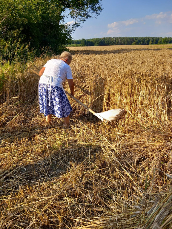 Święto Kosy w Białej