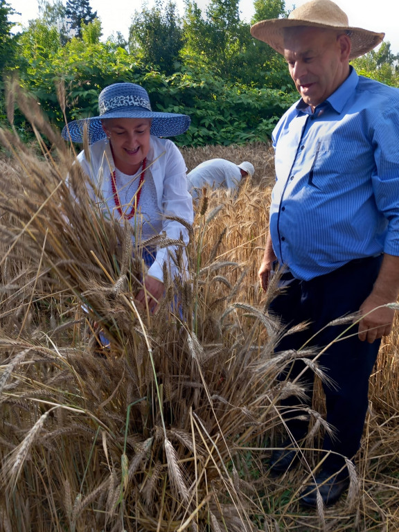 Święto Kosy w Białej