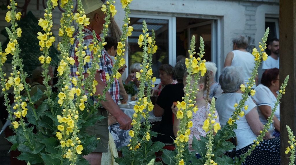 Święto Kosy w Białej