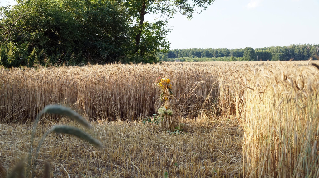 Święto Kosy w Białej
