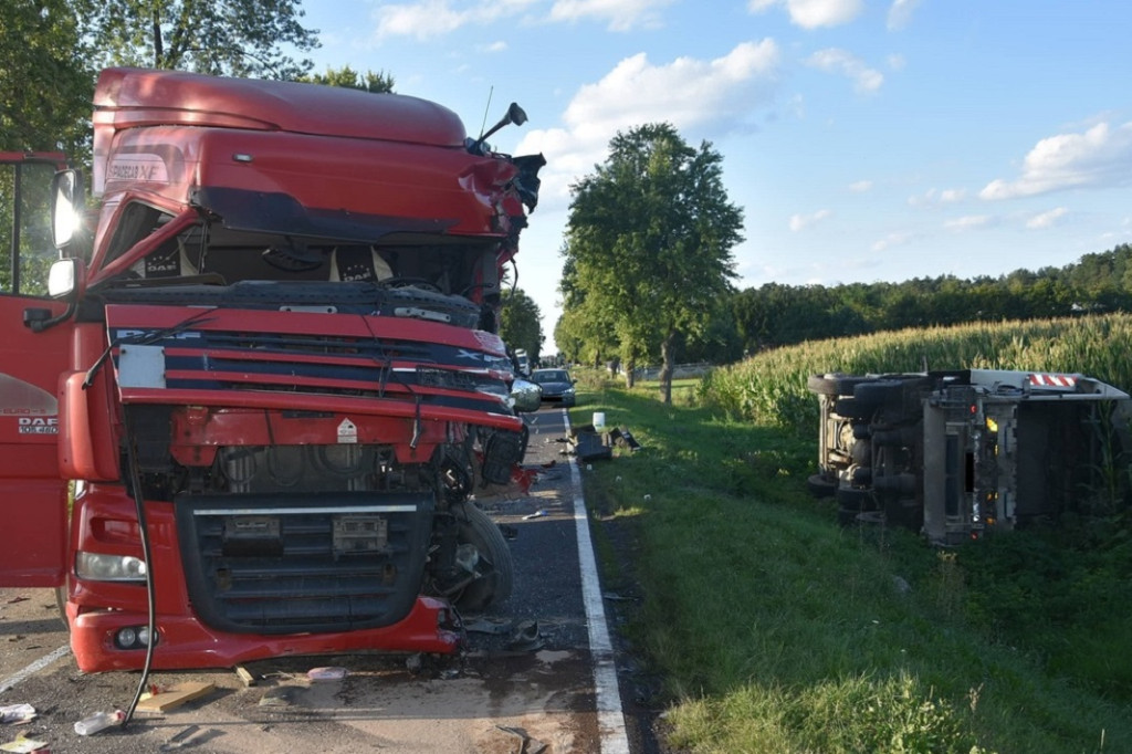 Zderzenie ciężarówek na drodze krajowej w Turowie