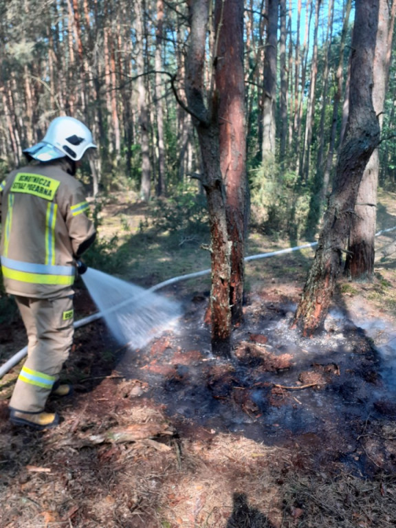 Interwencje strażaków w drugiej połowie sierpnia