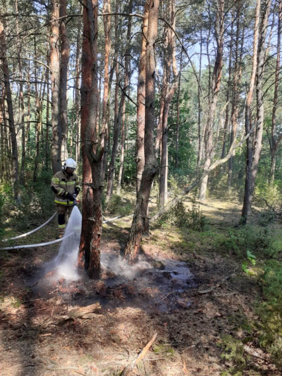 Interwencje strażaków w drugiej połowie sierpnia