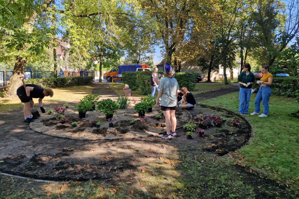 Sadzenie roślin przed I LO w Radzyniu