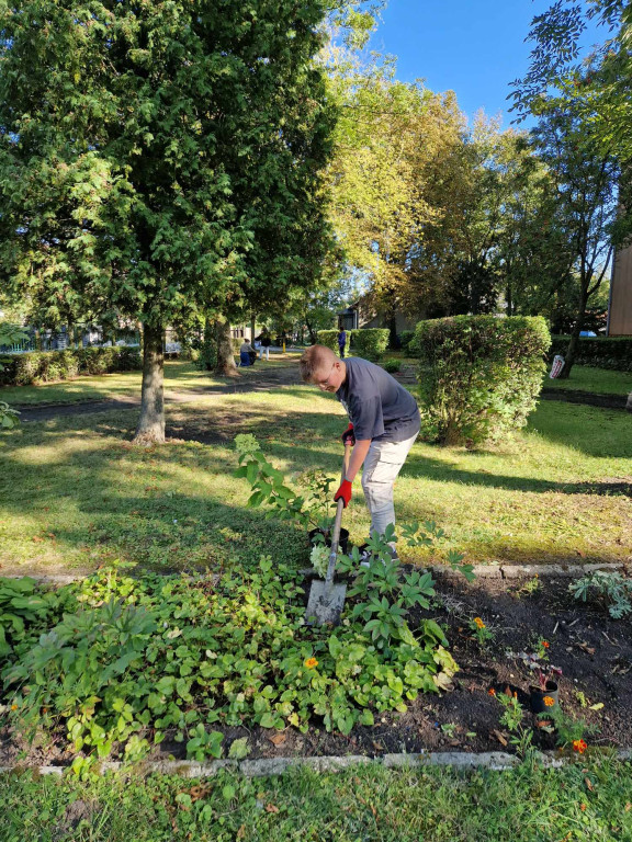 Sadzenie roślin przed I LO w Radzyniu