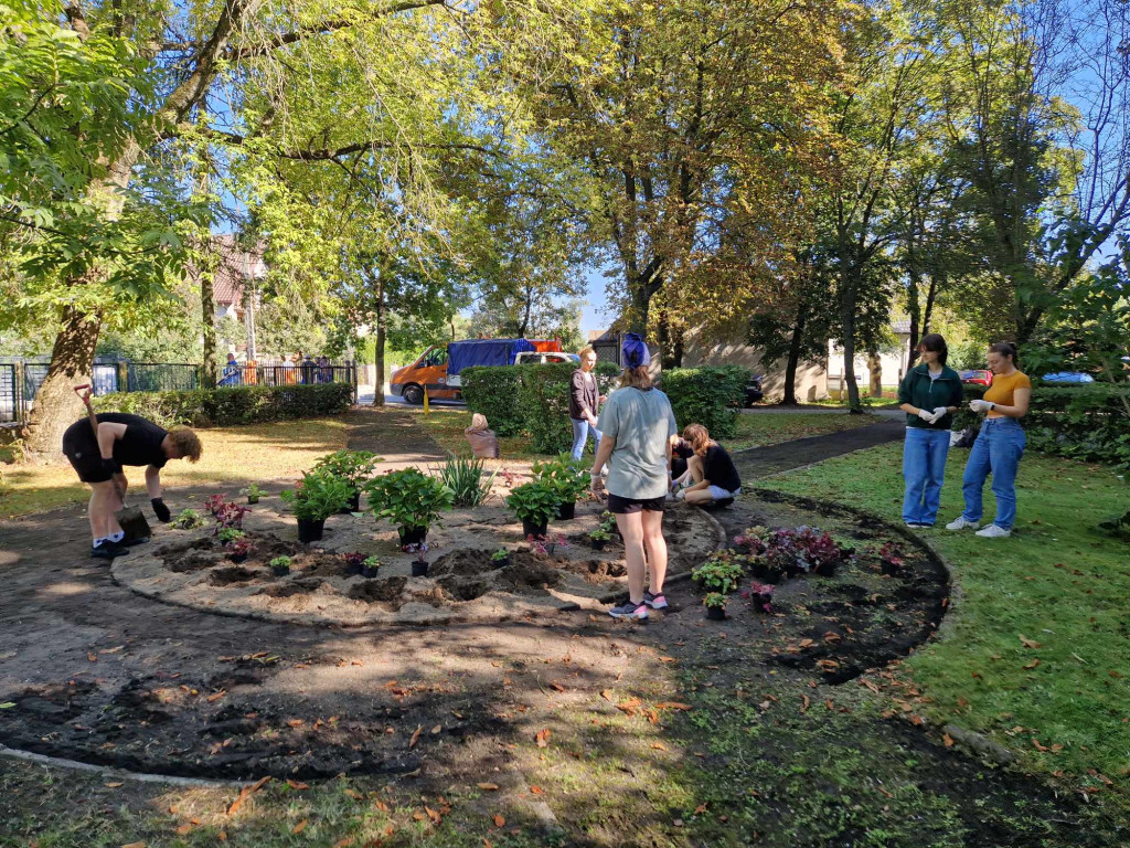 Sadzenie roślin przed I LO w Radzyniu