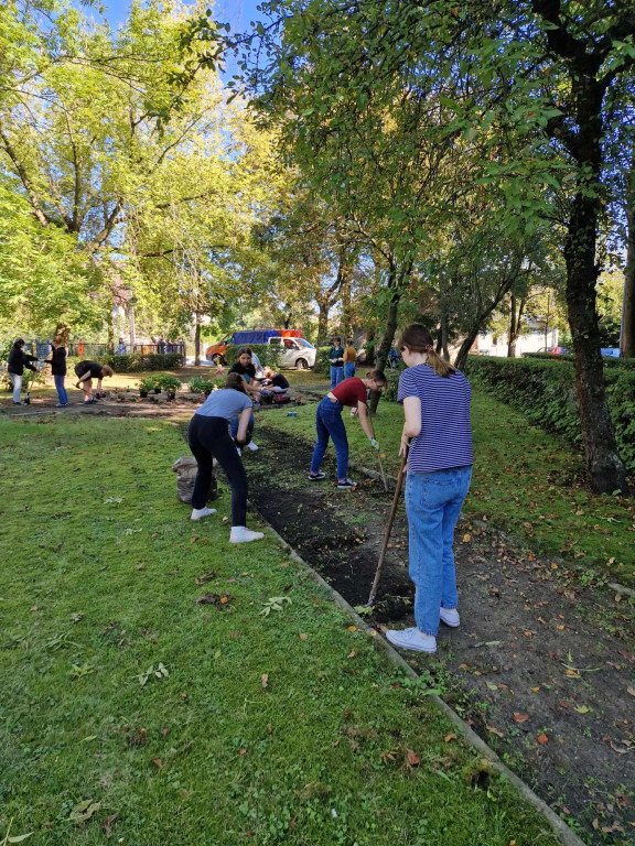 Sadzenie roślin przed I LO w Radzyniu