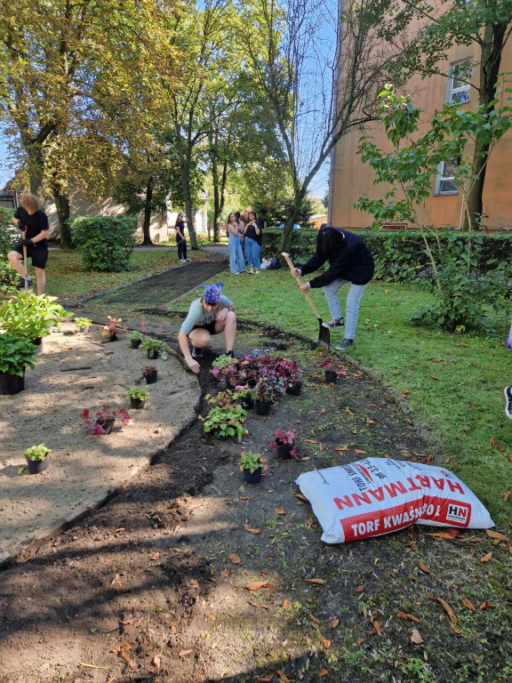 Sadzenie roślin przed I LO w Radzyniu
