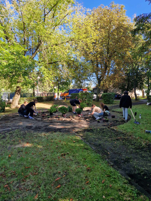 Sadzenie roślin przed I LO w Radzyniu