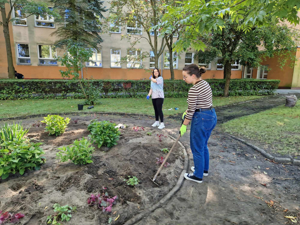 Sadzenie roślin przed I LO w Radzyniu