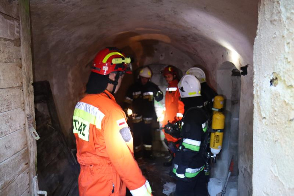 Ćwiczenia służb mundurowych w Żeliźnie i Witorożu