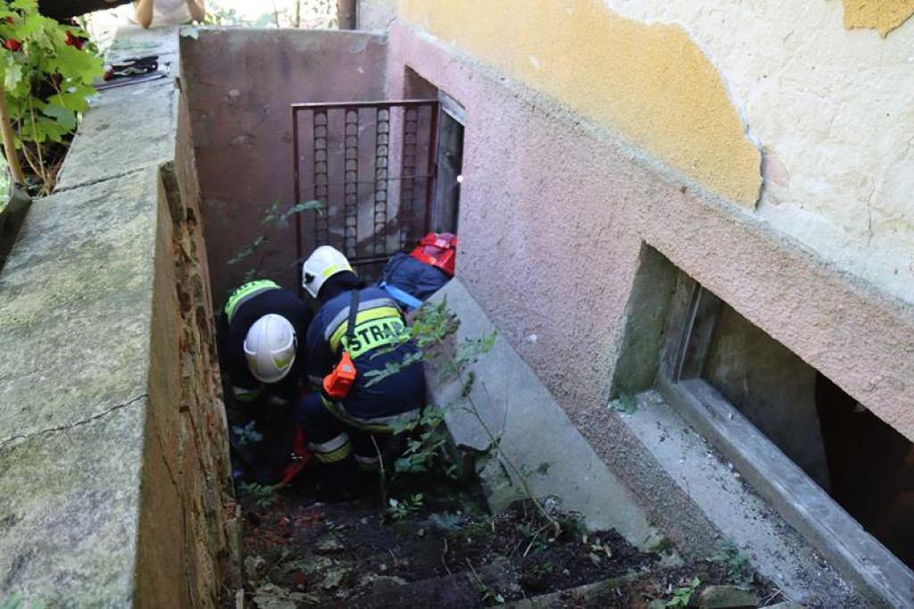 Ćwiczenia służb mundurowych w Żeliźnie i Witorożu