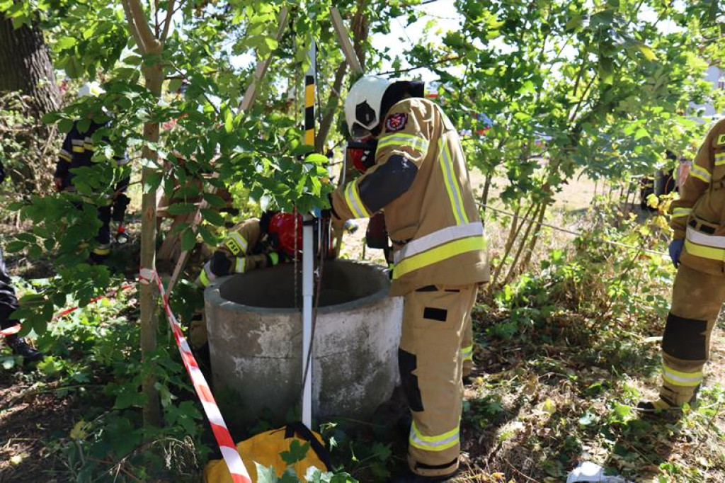 Ćwiczenia służb mundurowych w Żeliźnie i Witorożu
