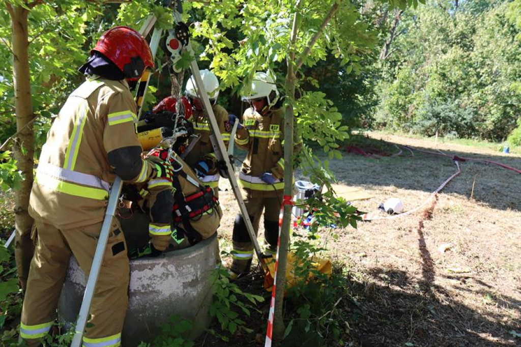 Ćwiczenia służb mundurowych w Żeliźnie i Witorożu