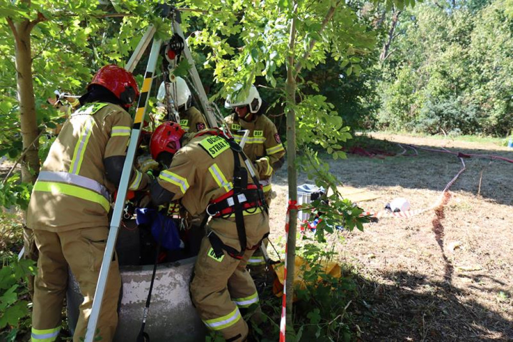 Ćwiczenia służb mundurowych w Żeliźnie i Witorożu