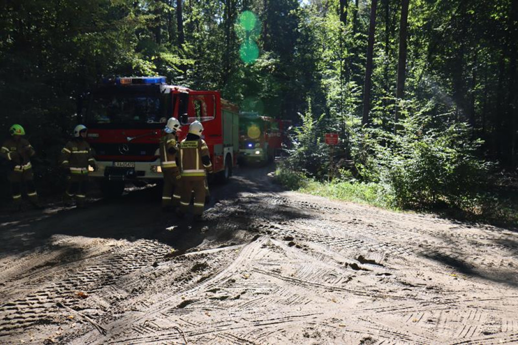Ćwiczenia służb mundurowych w Żeliźnie i Witorożu