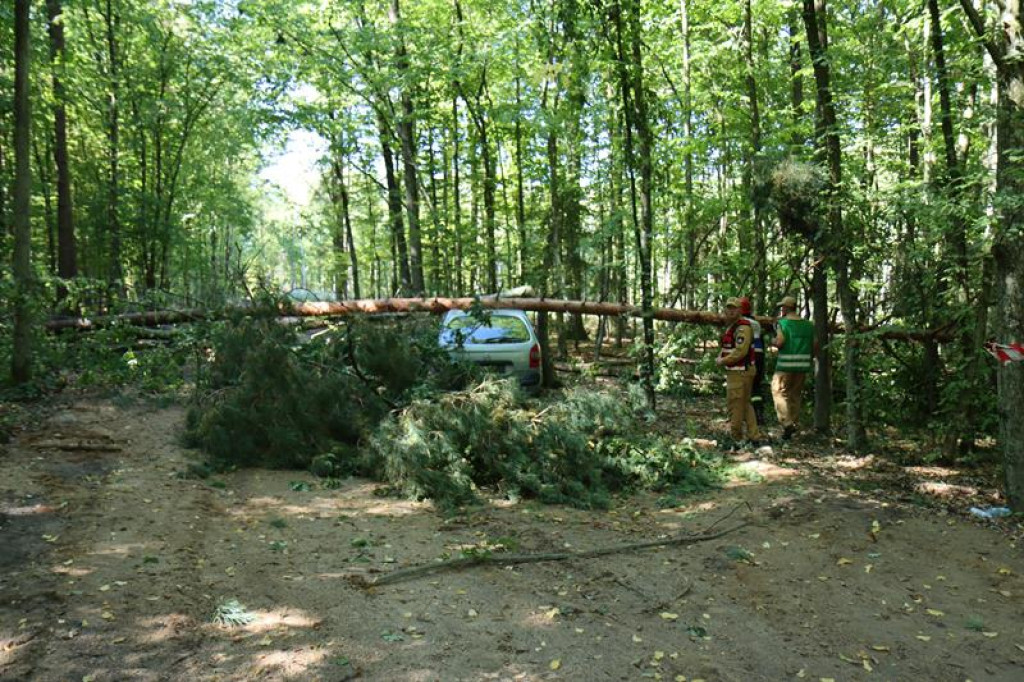 Ćwiczenia służb mundurowych w Żeliźnie i Witorożu