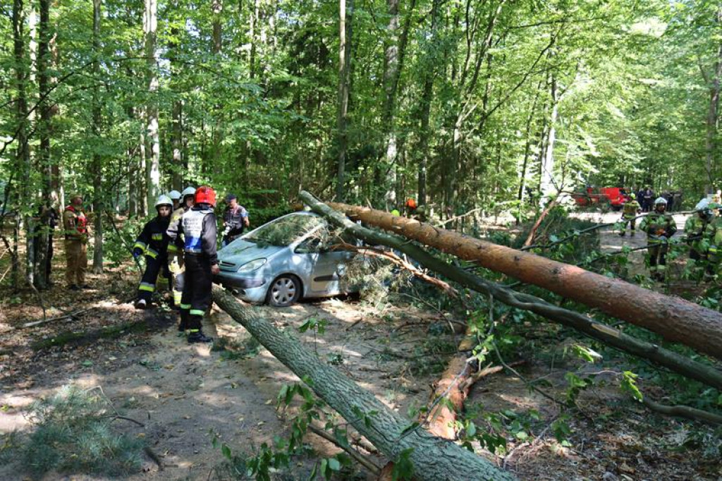 Ćwiczenia służb mundurowych w Żeliźnie i Witorożu