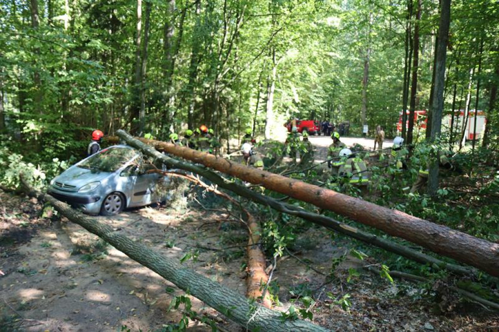 Ćwiczenia służb mundurowych w Żeliźnie i Witorożu