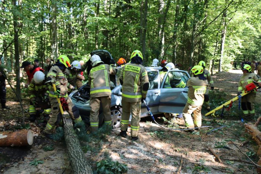 Ćwiczenia służb mundurowych w Żeliźnie i Witorożu
