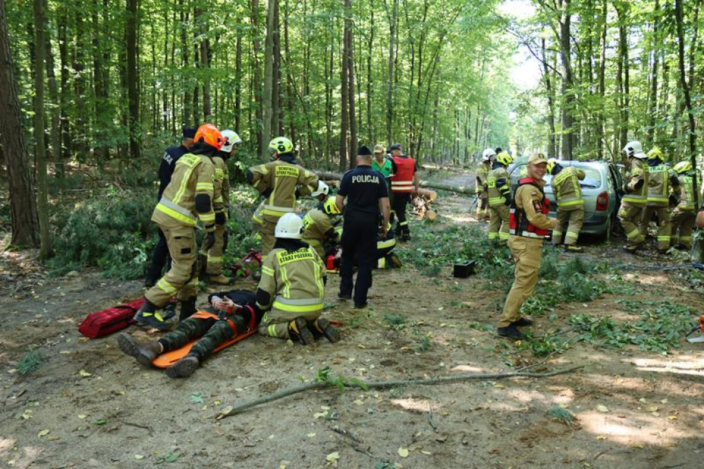 Ćwiczenia służb mundurowych w Żeliźnie i Witorożu