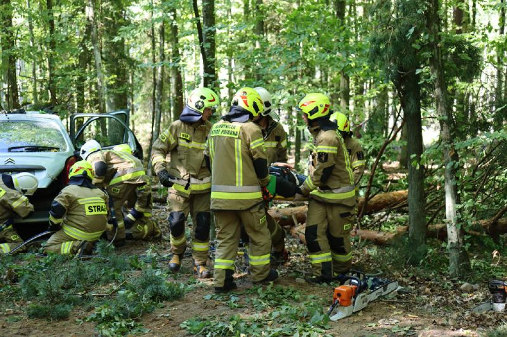 Ćwiczenia służb mundurowych w Żeliźnie i Witorożu