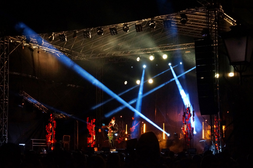 Koncert Dawida Kwiatkowskiego w Radzyniu