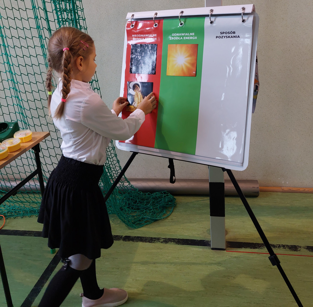 Warsztaty o OŹE w szkole w Domaszewnicy