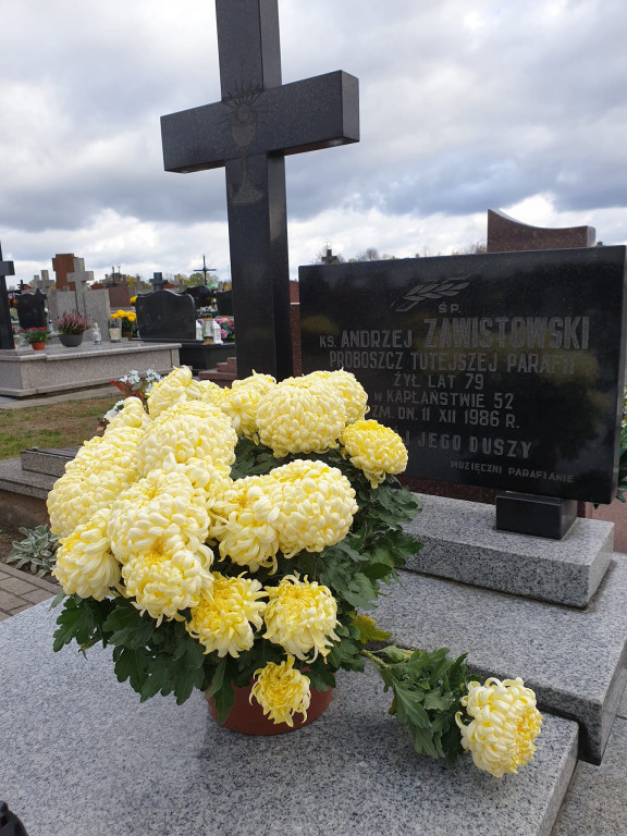 Oddanie hołdu żołnierzom w Komarówce 1 XI