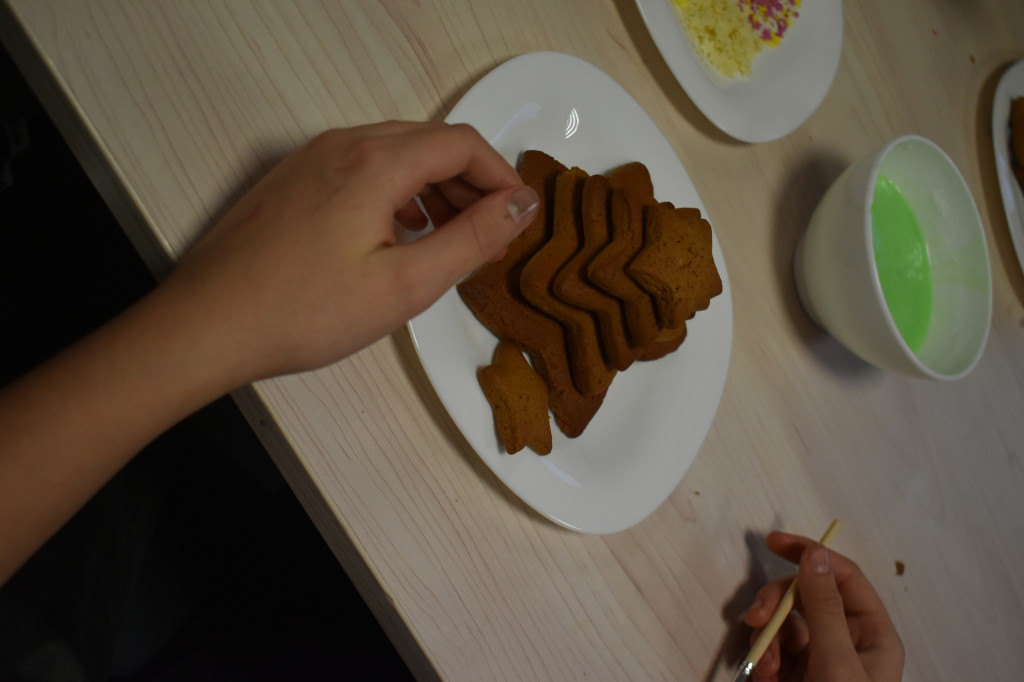 Piernikowe choinki na warsztatach w Wohyniu