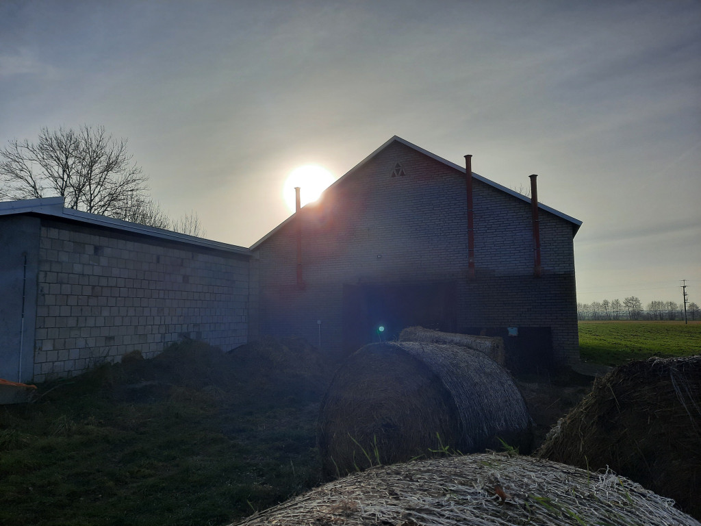 Interwencje strażaków w grudniu