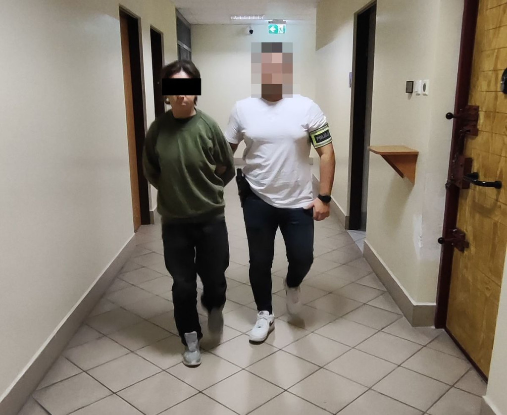 Kradzież rynien z pałacu