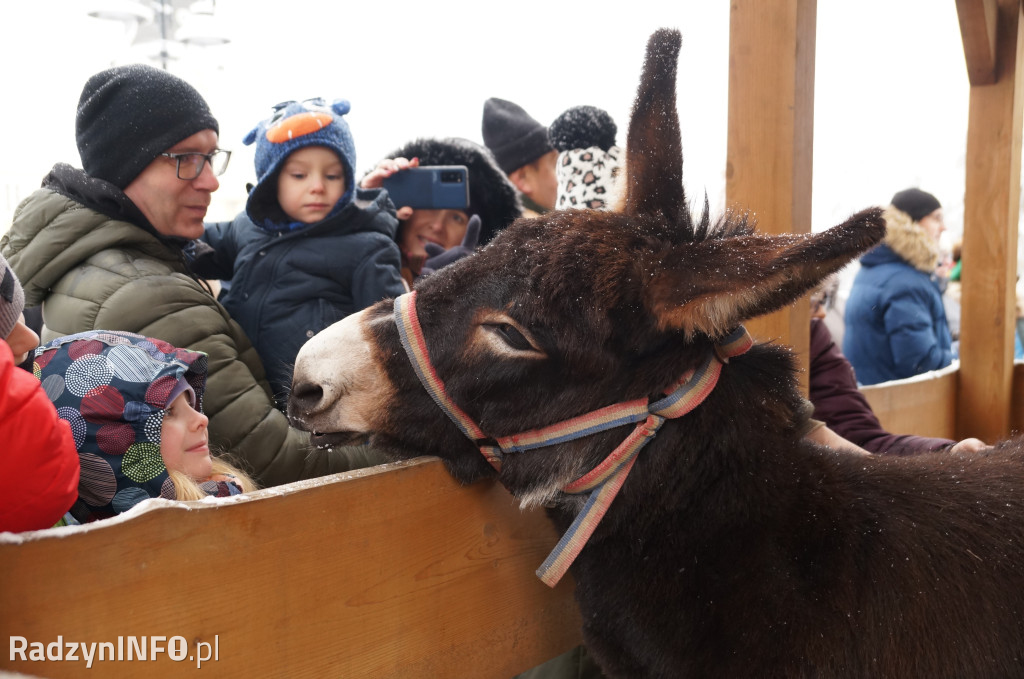 Orszak Trzech Króli w Radzyniu