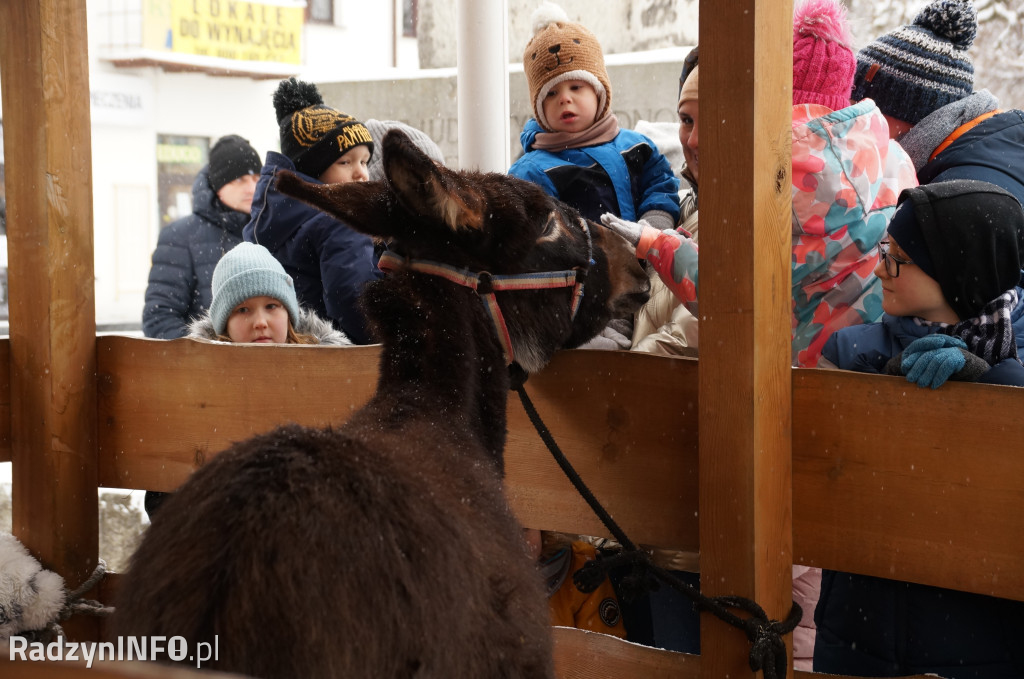 Orszak Trzech Króli w Radzyniu