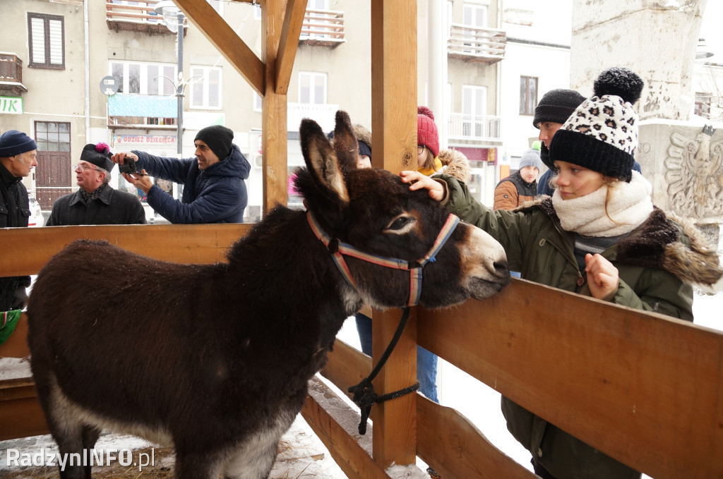 Orszak Trzech Króli w Radzyniu